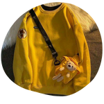 هودی و دورس